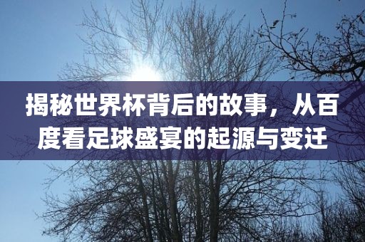 揭秘世界杯背后的故事，从百度看足球盛宴的起源与变迁