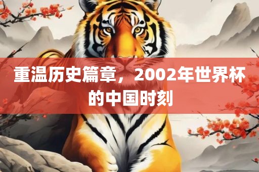 重温历史篇章，2002年世界杯的中国时刻