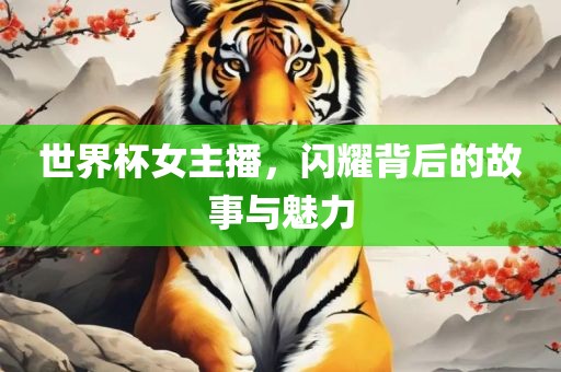 世界杯女主播，闪耀背后的故事与魅力