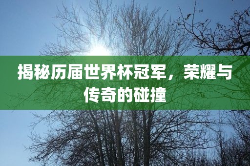 揭秘历届世界杯冠军，荣耀与传奇的碰撞