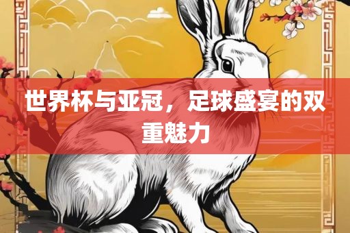 世界杯与亚冠，足球盛宴的双重魅力