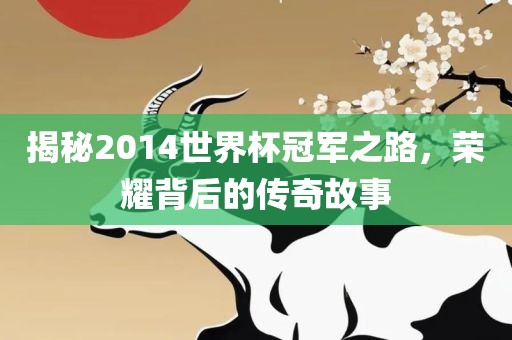 揭秘2014世界杯冠军之路，荣耀背后的传奇故事
