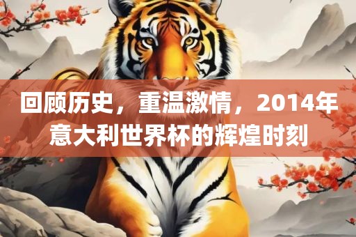 回顾历史，重温激情，2014年意大利世界杯的辉煌时刻