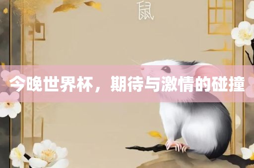 今晚世界杯，期待与激情的碰撞