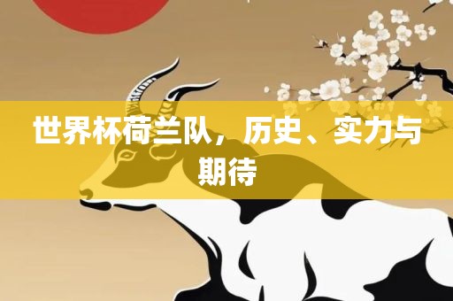 世界杯荷兰队，历史、实力与期待
