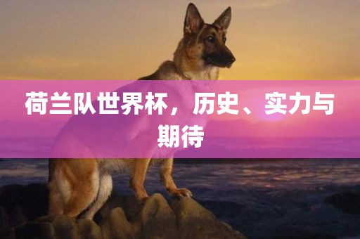 荷兰队世界杯，历史、实力与期待