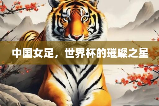 中国女足，世界杯的璀璨之星