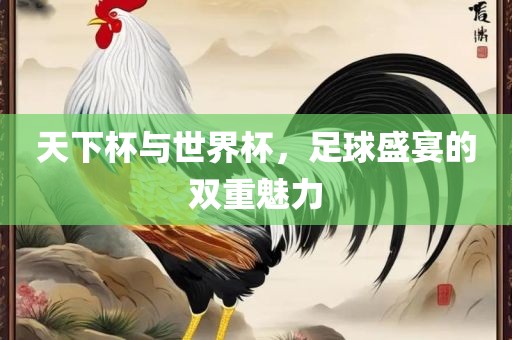 天下杯与世界杯，足球盛宴的双重魅力