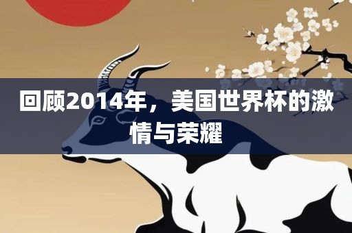 回顾2014年，美国世界杯的激情与荣耀