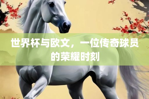 世界杯与欧文，一位传奇球员的荣耀时刻