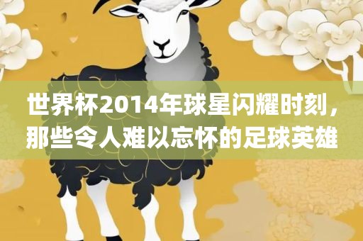 世界杯2014年球星闪耀时刻，那些令人难以忘怀的足球英雄