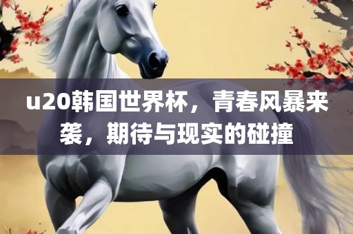 u20韩国世界杯，青春风暴来袭，期待与现实的碰撞