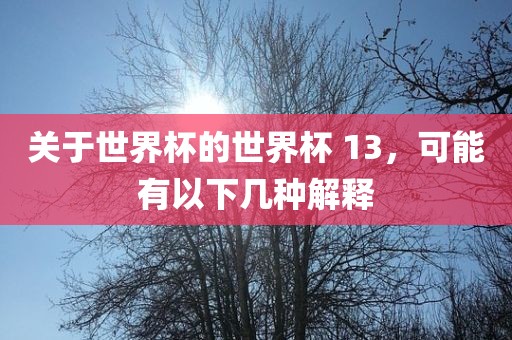 关于世界杯的世界杯 13，可能有以下几种解释