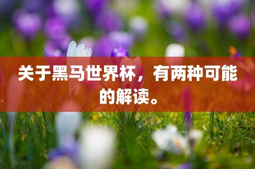 关于黑马世界杯，有两种可能的解读。