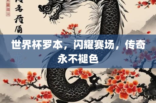 世界杯罗本，闪耀赛场，传奇永不褪色