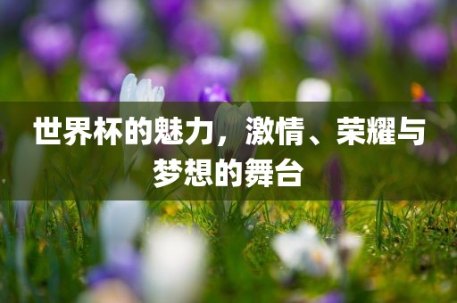 世界杯的魅力，激情、荣耀与梦想的舞台