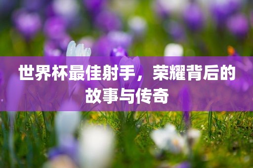 世界杯最佳射手，荣耀背后的故事与传奇