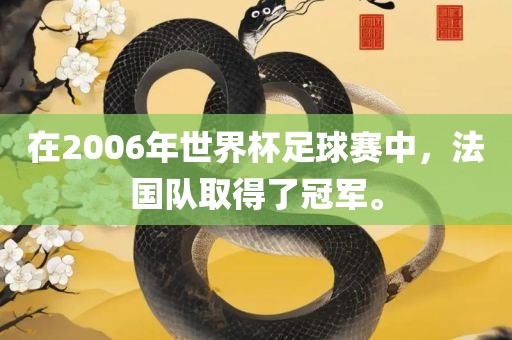 在2006年世界杯足球赛中，法国队取得了冠军。