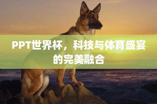 PPT世界杯，科技与体育盛宴的完美融合