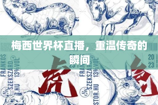 梅西世界杯直播，重温传奇的瞬间