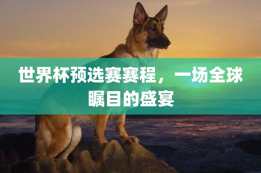 世界杯预选赛赛程，一场全球瞩目的盛宴