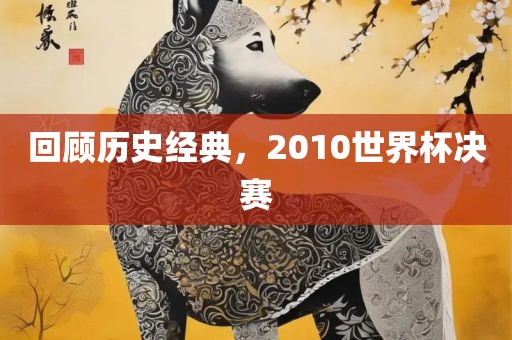 回顾历史经典，2010世界杯决赛