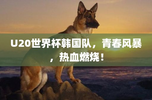 U20世界杯韩国队，青春风暴，热血燃烧！