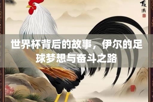 世界杯背后的故事，伊尔的足球梦想与奋斗之路