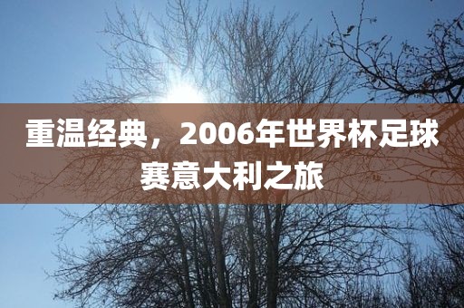 重温经典，2006年世界杯足球赛意大利之旅