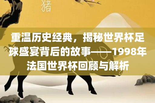 重温历史经典，揭秘世界杯足球盛宴背后的故事——1998年法国世界杯回顾与解析