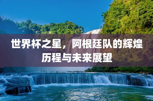 世界杯之星，阿根廷队的辉煌历程与未来展望