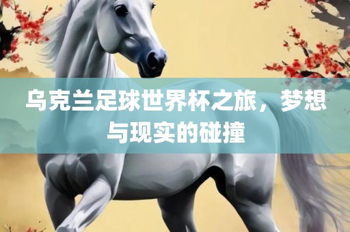 乌克兰足球世界杯之旅，梦想与现实的碰撞