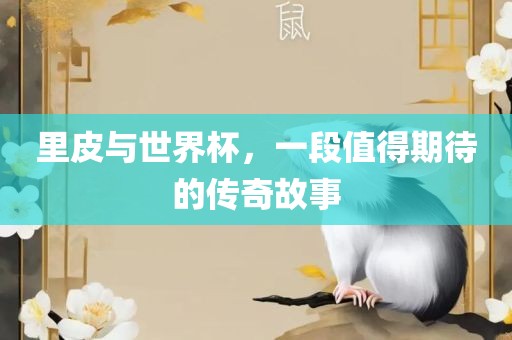 里皮与世界杯，一段值得期待的传奇故事