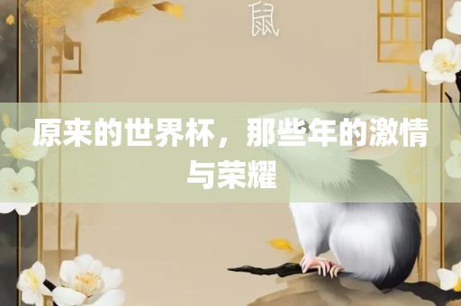 原来的世界杯，那些年的激情与荣耀眉山市正发家政服务有限公司