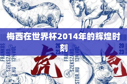 梅西在世界杯2014年眉山市正发家政服务有限公司的辉煌时刻
