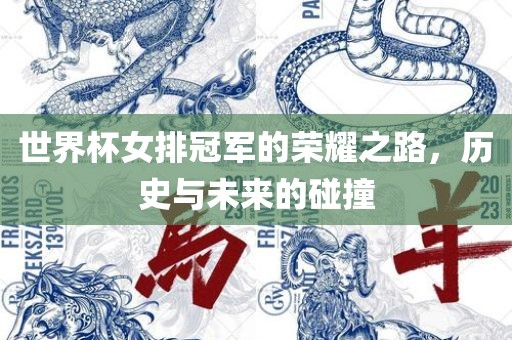 世界杯女排冠军的荣耀之路，历史与未来的碰撞眉山市正发家政服务有限公司