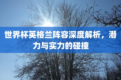 世界杯英格兰阵容深度解析，潜力与实力的碰撞