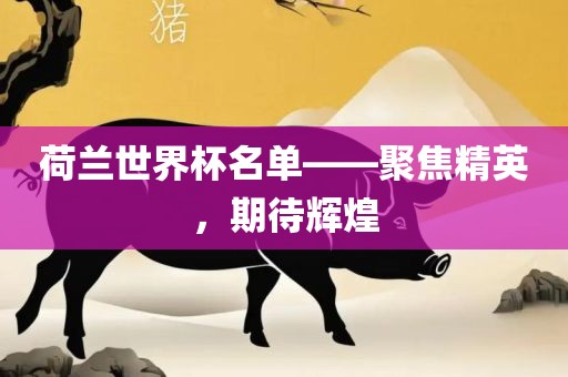 荷兰世界杯名单——聚焦精英，期待辉煌