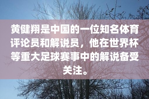 黄健翔是中国的一位知名体育评论员和解说员，他在世界杯等重大足球赛事中的解说备受关注。