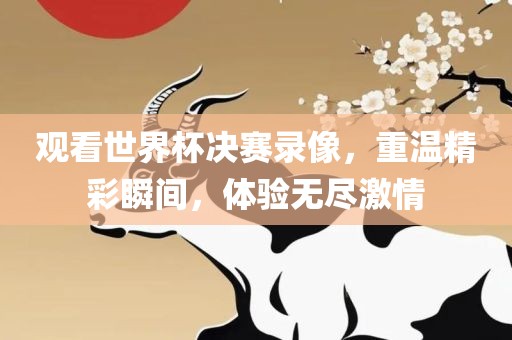 观看世界杯决赛录像，重温精彩瞬间，体验无尽激情
