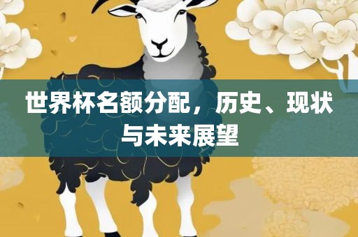 世界杯名额分配，历史、现状与未来展望