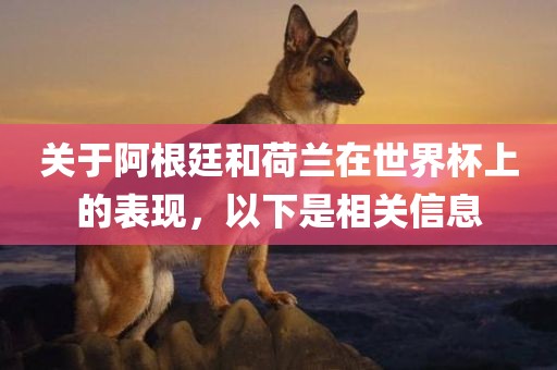 关于阿根廷和荷兰在世界杯上的表现，以下是相关信息