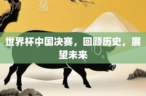 世界杯中国决赛，回顾历史，展望未来