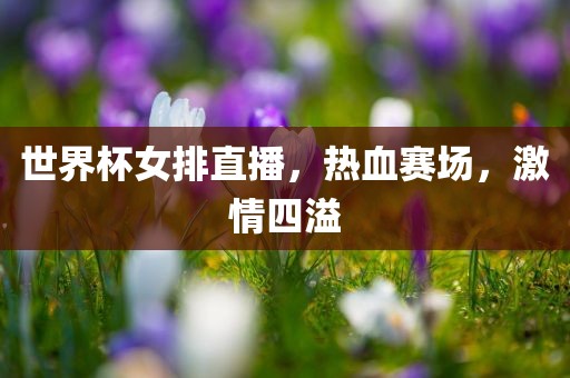 世界杯女排直播，热血赛场，激情四溢