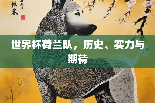 世界杯荷兰队，历史、实力与期待