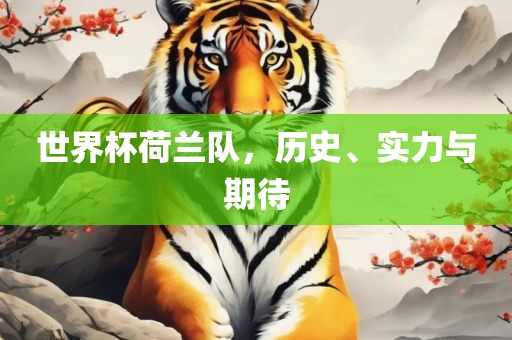 世界杯荷兰队，历史、实力与期待