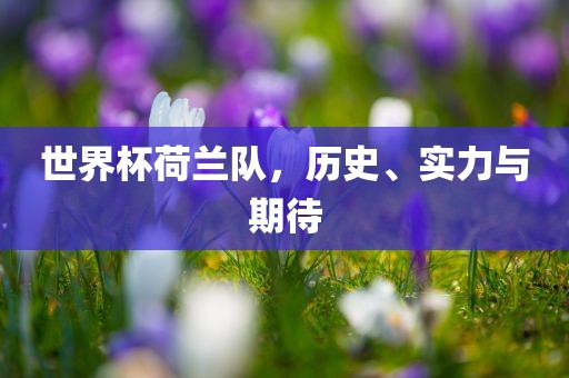 世界杯荷兰队，历史、实力与期待