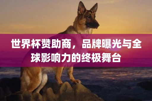 世界杯赞助商，品牌曝光与全球影响力的终极舞台