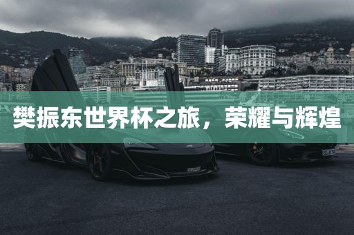 樊振东世界杯之旅，荣耀与辉煌