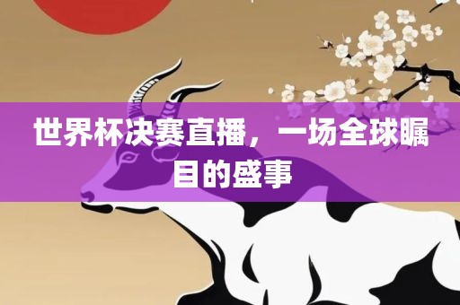 世界杯决赛直播，一场全球瞩目的盛事